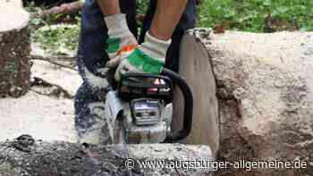 Polizei Bobingen sucht den Eigentümer einer Motorsäge - Augsburger Allgemeine