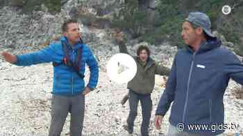 Expeditie Robinson: "John de Bever en Rob Geus vechten elkaar de tent uit" - Gids.tv