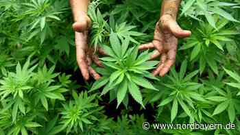 Wieder Hanf-Ärger: Polizei montiert CBD-Automaten im Raum Bamberg ab - Nordbayern.de