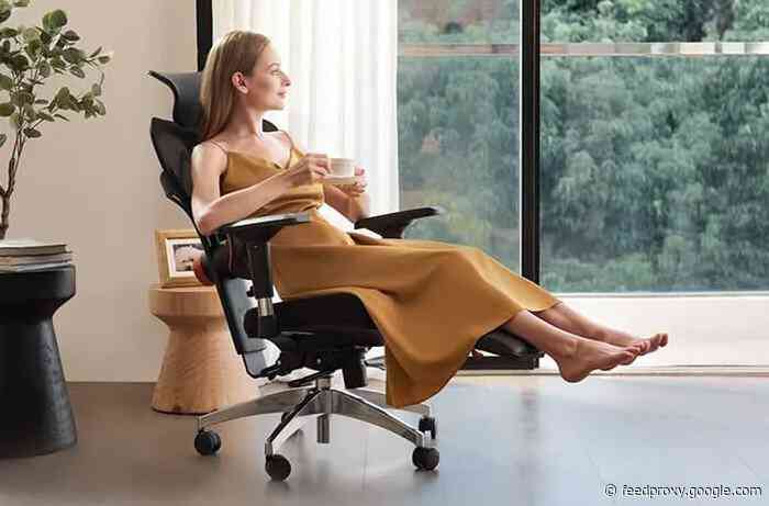 NEWTRAL professional ergonomic chair helps you focus & relax
