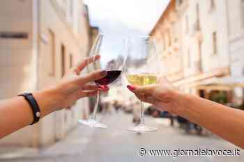 Dall'Erbaluce al Freisa di Chieri passando per il Ramìe e il Valsusa - giornalelavoce