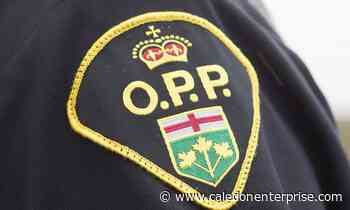 Bolton woman charged following Caledon crash - Caledon Enterprise