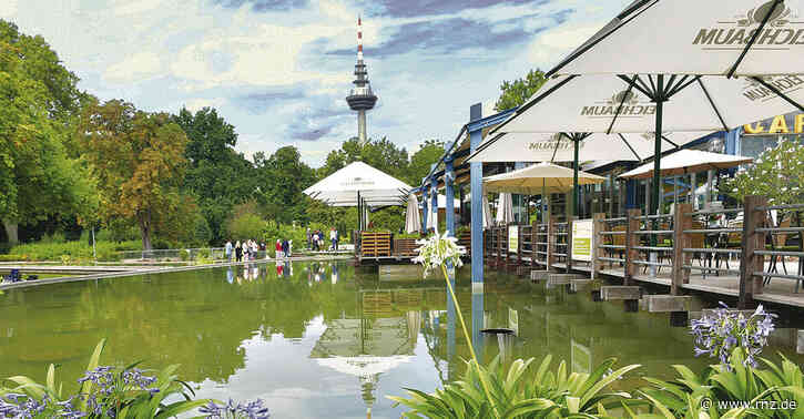 Mannheim:  Luisenpark wird für Buga 2023 Schritt um Schritt modernisiert