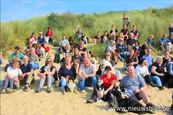 Hondenvrienden gaan samen naar de zee