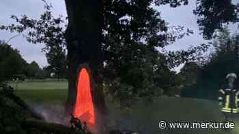 Golfplatz Olching: Wildes Feuer zerstört 300 Jahre alte Eiche - war es Brandstiftung? - Merkur.de