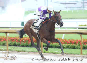 Gormley Firster Relishes The Slop at Indiana Grand - Thoroughbred Daily News