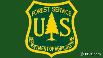 Forest Service in NW moving to free personal-use firewood-cutting program - KTVZ
