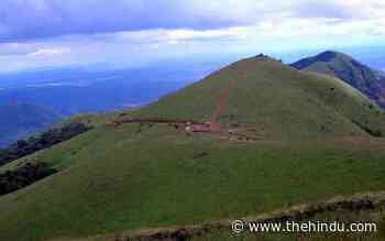 Proposal to divert forest land for concrete road to Kodachadri hilltop draws flak - The Hindu