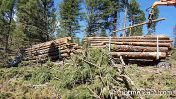 Trail closes for forest health project - NBC Montana