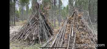 Forest Service trying to reduce wildfires by burning slash piles - Local News 8 - LocalNews8.com