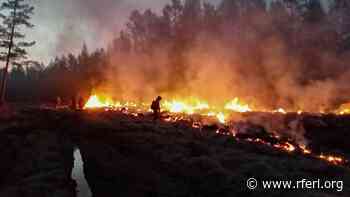Russia's Forest Fire Damage Worst Since Accurate Recording Began, Greenpeace Says - Radio Free Europe / Radio Liberty