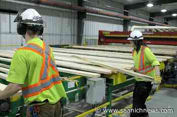 'Disrespectful': BC First Nations blast NDP's forest renewal effort – Saanich News - Saanich News