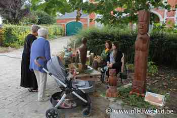 Plas den Tertre opnieuw van de partij - Het Nieuwsblad