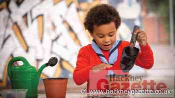 New early years Scouts groups in Hackney and Tower Hamlets - Hackney Gazette
