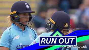 England v New Zealand ODI: Lauren Winfield-Hill run out after mix-up with Danni Wyatt