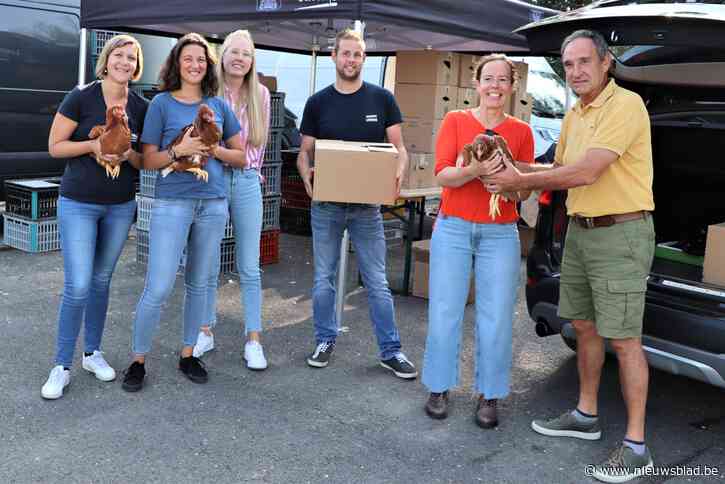 1.400 kippen verkleinen berg keukenafval