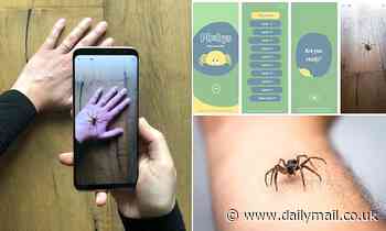 Spiders: AR app featuring virtual spiders offers cure for arachnophobia