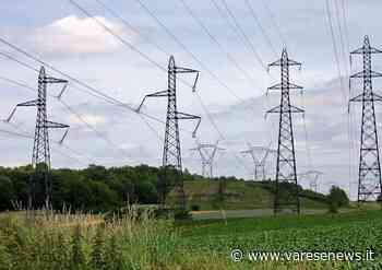 La società Terna ripulisce il bosco sotto i tralicci a Gallarate - varesenews.it