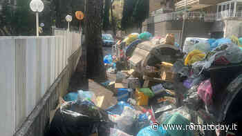 La strada della Roma bene è invasa dai rifiuti: "E' allarme igienico sanitario"