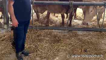 Montech. Pour le développement du circuit court - ladepeche.fr