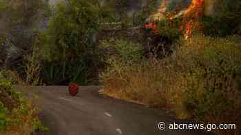 Nerves on edge on Spanish island as quakes, lava threaten