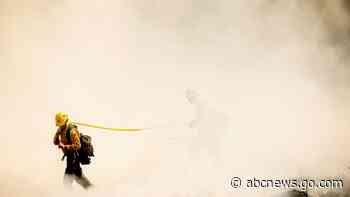 4 famous giant trees unharmed by Sequoia National Park fire