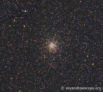 The Last Wildflowers: Globular Clusters Greet Autumn