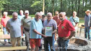 Drittschönster Deutschlands: Permanentwanderweg Mittelmosel wird ausgezeichnet - Kreis Cochem-Zell - Rhein-Zeitung