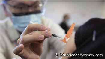 Province launches new website to access COVID-19 vaccination record - Lethbridge News Now