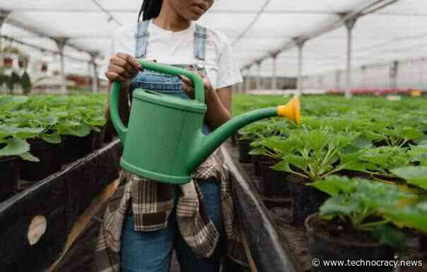 Scientists: Edible Plants Being Altered To Carry mRNA Vaccine Payload