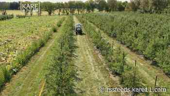 KARE in the Air: Afton Apple