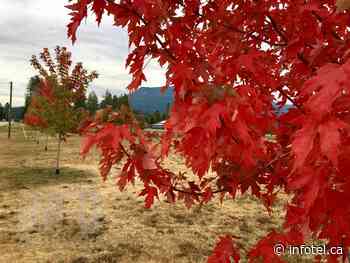 Warm dry week ahead as fall arrives in Kamloops, Okanagan | iNFOnews | Thompson-Okanagan's News Source - iNFOnews