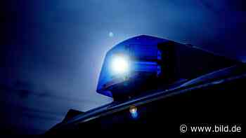 A8 bei Dachau: Frau steigt mitten auf der Autobahn aus - BILD