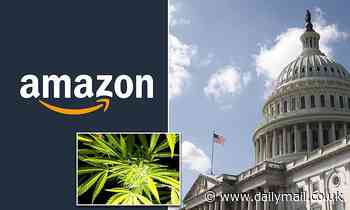 Amazon lobbies the government to federally legalize weed after tech giant relaxes its drug testing