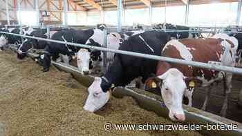 Weniger Milchkühe in Haiterbach: 18 Betriebe mit Viehhaltung