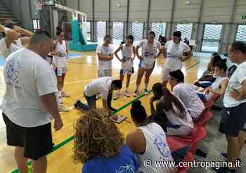 Basket femminile, la Halley Thunder Matelica Fabriano è nel pieno della preparazione - Centropagina