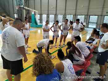 La Thunder Matelica-Fabriano fa passi in avanti e batte le Panthers Roseto - Serie A2 Femminile - Basketmarche.it