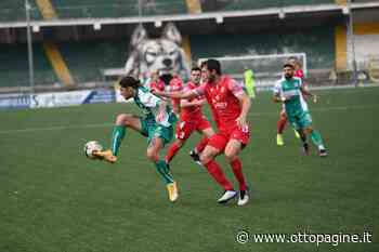 Foto - Avellino - Ancona Matelica 0-1, la fotogallery - Ottopagine