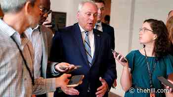 Louisiana delegation split over debt-hike bill with disaster aid