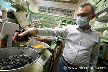 Les plantes médicinales fleurissent en ville à Nice