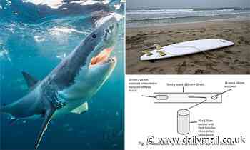 Shark repellant device worth $500 which clips to surfboard uses electric pulse cuts attacks: study