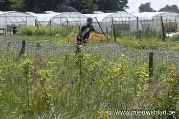 De Troef stopt als concessiehouder van stadsboerderij