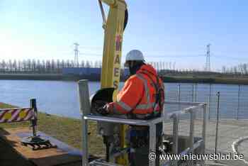 Groep Maes zoekt tot twintig nieuwe collega’s en zet hiervoor groots in op eenmalige jobdag