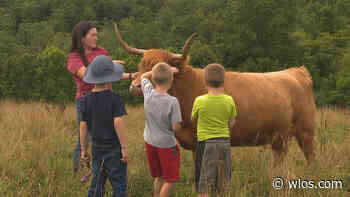 Students learn about animals at Happy Hens and Highlands Farm - WLOS