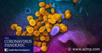 Delta overwhelming other coronavirus variants of concern, says WHO - South China Morning Post