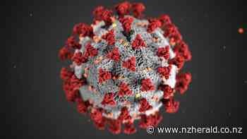 Covid 19 coronavirus: Allegations of first 'superspreader' event occurred at Wuhan Military Games in October 2019 - New Zealand Herald