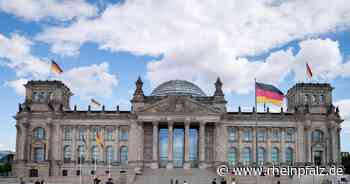 Bundestagskandidaten: Wer darf nach Berlin? - Mannheim - DIE RHEINPFALZ - Rheinpfalz.de