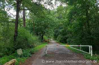 Der Dossenwald in Mannheim: ein Gehege, zwei Spielsplätze und jede Menge Natur - Leben: Kolumnen, Tipps, Interviews und Kritiken - Mannheimer Morgen