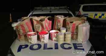 Police bust men smuggling KFC chicken into city locked down for COVID     - CNET