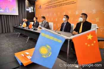 ERG and NFC China to construct special coke plant